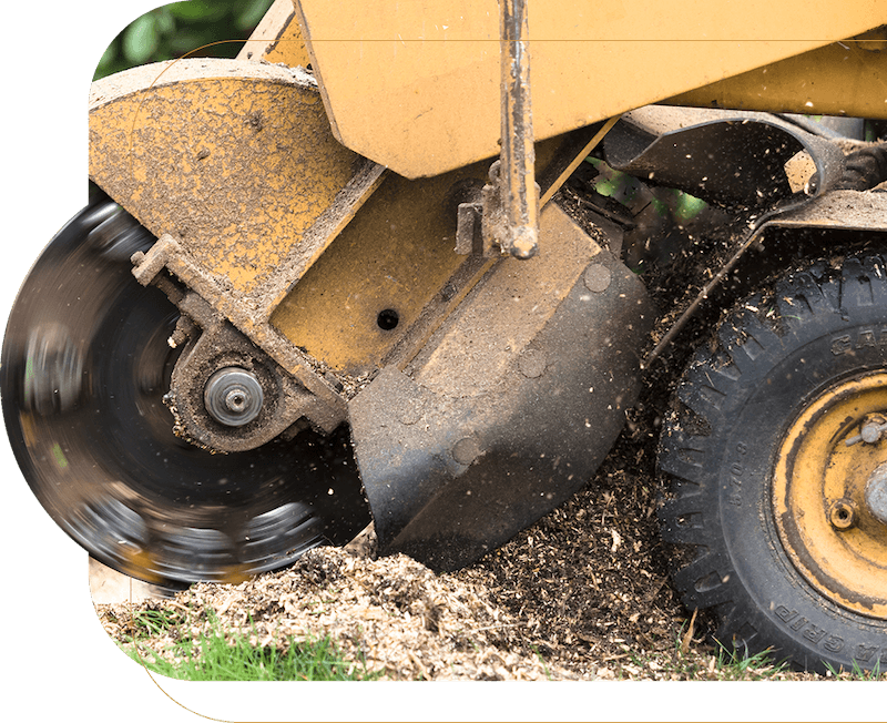 ArborEdge Stump Grinder & Chipper Blade Sharpening